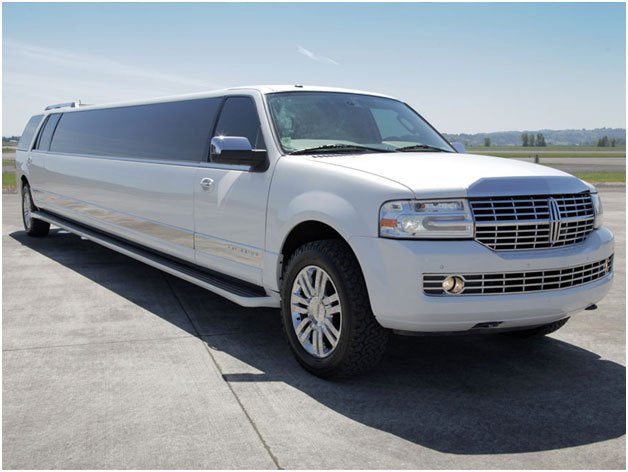 Limousine entertainment system